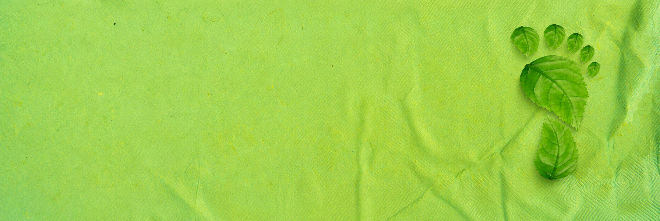 wud26 wud4kids banner